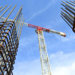 crane