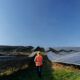 konsultan plts sun energy