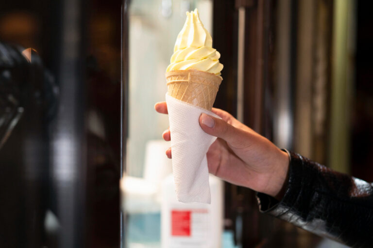 mesin es krim rumahan