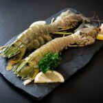 udang mantis