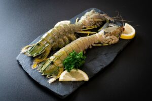 udang mantis