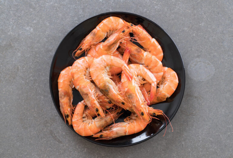 Udang