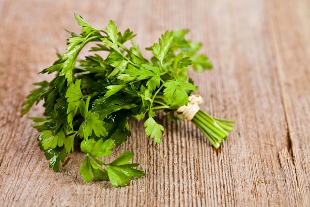 manfaat daun seledri