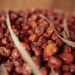 Manfaat Jujube