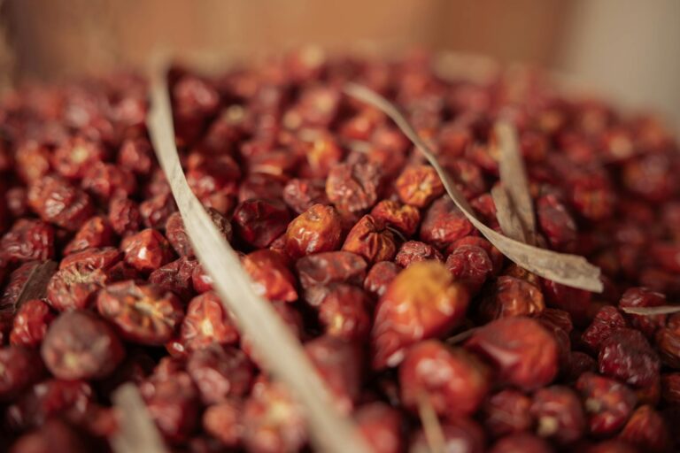 Manfaat Jujube